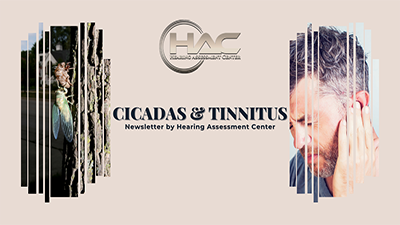 Cicadas and Tinnitus Blog